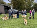 Collie-Treffen am 21.10.2023