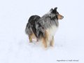Schnee-Impressionen 2020/2021