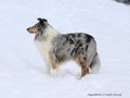 Schnee-Impressionen 2020/2021