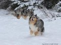 Schnee-Impressionen 2020/2021