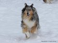 Schnee-Impressionen 2020/2021