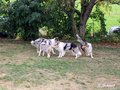 Kleines Treffen am 03.09.2016