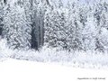 Schnee-Impressionen 2020/2021