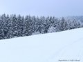 Schnee-Impressionen 2020/2021