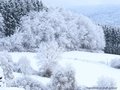 Schnee-Impressionen 2020/2021