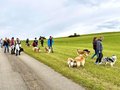 Collie-Treffen am 21.10.2023