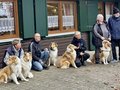 Collie-Treffen am 21.10.2023