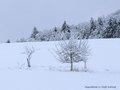 Schnee-Impressionen 2020/2021