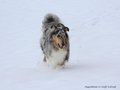 Schnee-Impressionen 2020/2021