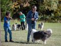 10 Jahre Collies vom Neckarwiesenweg - 13.10.18