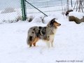 Schnee-Impressionen 2020/2021