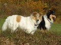 Jamila und Kimi