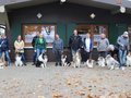 Collie-Treffen am 21.10.2023
