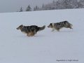 Schnee-Impressionen 2020/2021