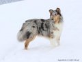 Schnee-Impressionen 2020/2021
