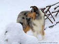 Schnee-Impressionen 2020/2021