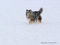 Schnee-Impressionen 2020/2021