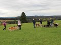 Collie-Treffen am 21.10.2023