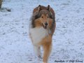Nathan vom Neckarwiesenweg