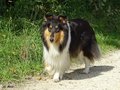 Jamila und Kimi