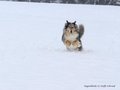 Schnee-Impressionen 2020/2021