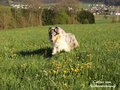 Lilli Marleen vom Neckarwiesenweg