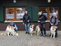 Collie-Treffen am 21.10.2023
