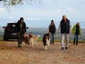 Collie-Treffen am 21.10.2023