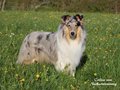 Lilli Marleen vom Neckarwiesenweg