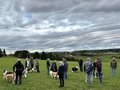 Collie-Treffen am 21.10.2023