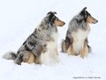 Schnee-Impressionen 2020/2021