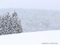 Schnee-Impressionen 2020/2021