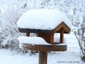 Schnee-Impressionen 2020/2021