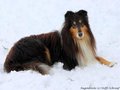 Schnee-Impressionen 2020/2021