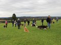 Collie-Treffen am 21.10.2023