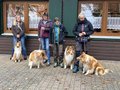 Collie-Treffen am 21.10.2023