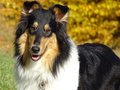 Jamila und Kimi