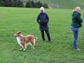 Collie-Treffen am 21.10.2023