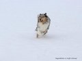 Schnee-Impressionen 2020/2021