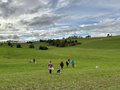 Collie-Treffen am 21.10.2023