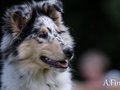 Gwendolyn vom Neckarwiesenweg