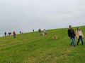 Collie-Treffen am 21.10.2023