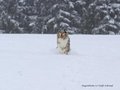 Schnee-Impressionen 2020/2021