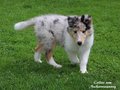 Lilli Marleen vom Neckarwiesenweg