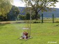 Kleines Treffen am 03.09.2016