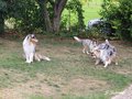 Kleines Treffen am 03.09.2016