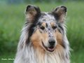 Gwendolyn vom Neckarwiesenweg