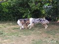 Kleines Treffen am 03.09.2016