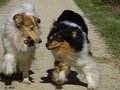 Jamila und Kimi
