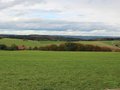 Collie-Treffen am 21.10.2023